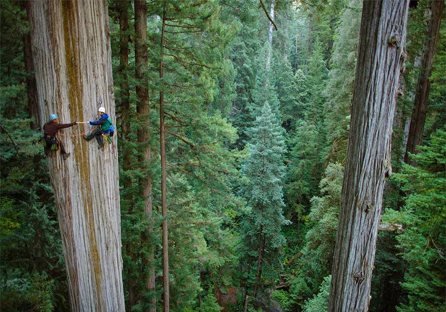 30 Death-Defying Photos That Will Make Your Heart Skip A Beat