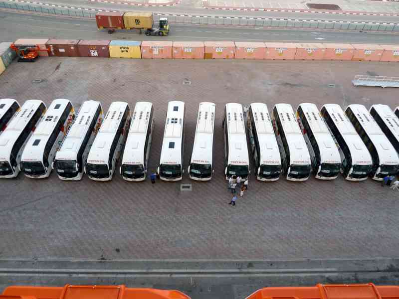 Buses