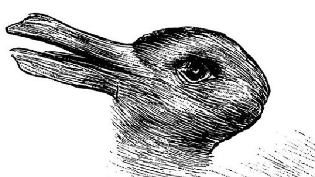 duck or rabbit