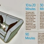 How Long To Nap