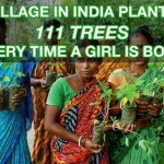 A Village in India plants 111 trees every time a girl is born