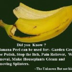 Most Incredible and important used of banana peel