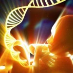 Autism linked with Toxic Chemicals During Fetal Development