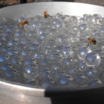 bee waterer: Help Hydrate bees by making a simple and easy bee waterer