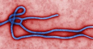 ebola