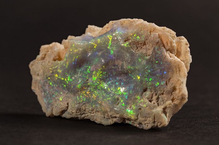 opal-04.jpg.990x0_q80_crop-smart