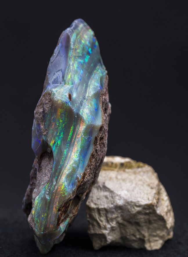 opal-05.jpg.990x0_q80_crop-smart