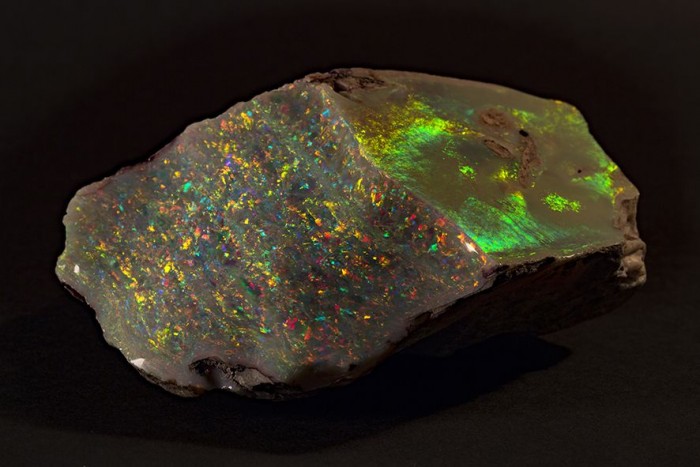 opal-06.jpg.990x0_q80_crop-smart