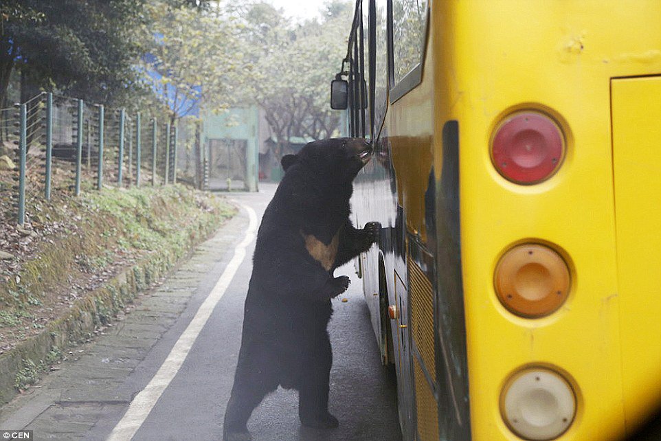 zoo in china