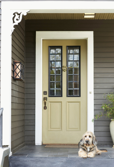 Dog lying on front porch