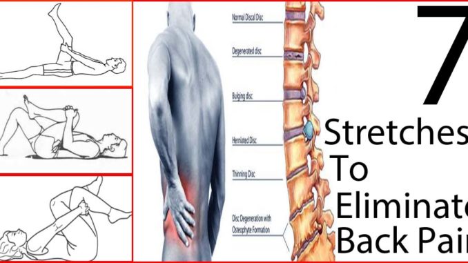 7-stretches-to-eliminate-back-pain