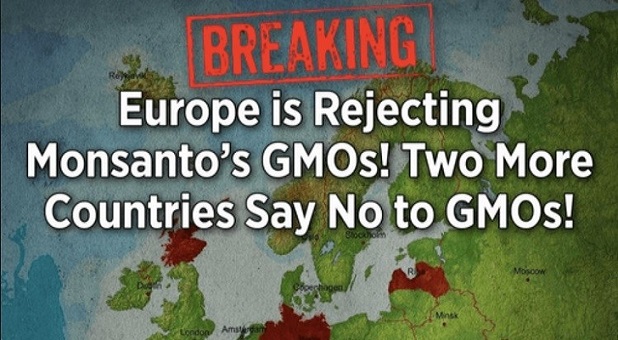 monsanto-gmo