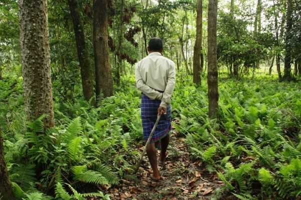 forest man jadav