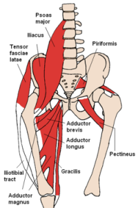 psoasdiagram