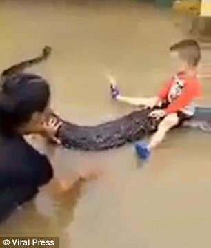 The youngster, named Truong, could not contain his excitement as his parents took the chance to let the snake play in the garden