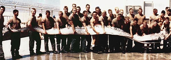 A giant oarfish