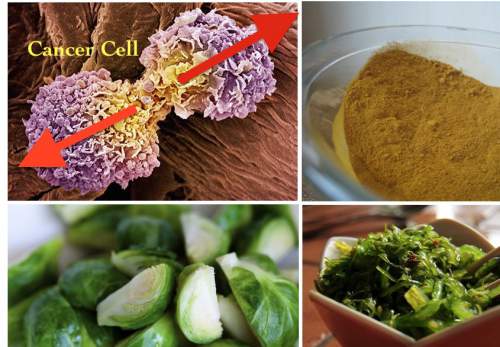 15 Foods That Certainly Remove Toxins And Force Cancer Cell Death