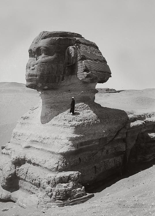 Profile view of Sphinx Giza Egypt 1900 1920